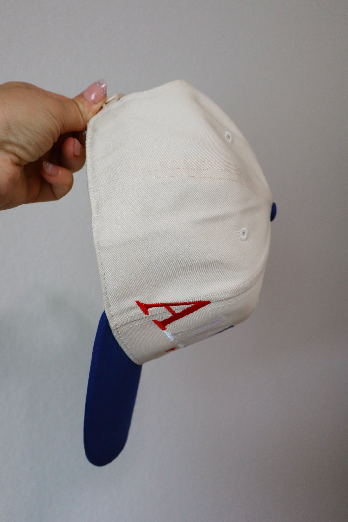 AMERICA Hat